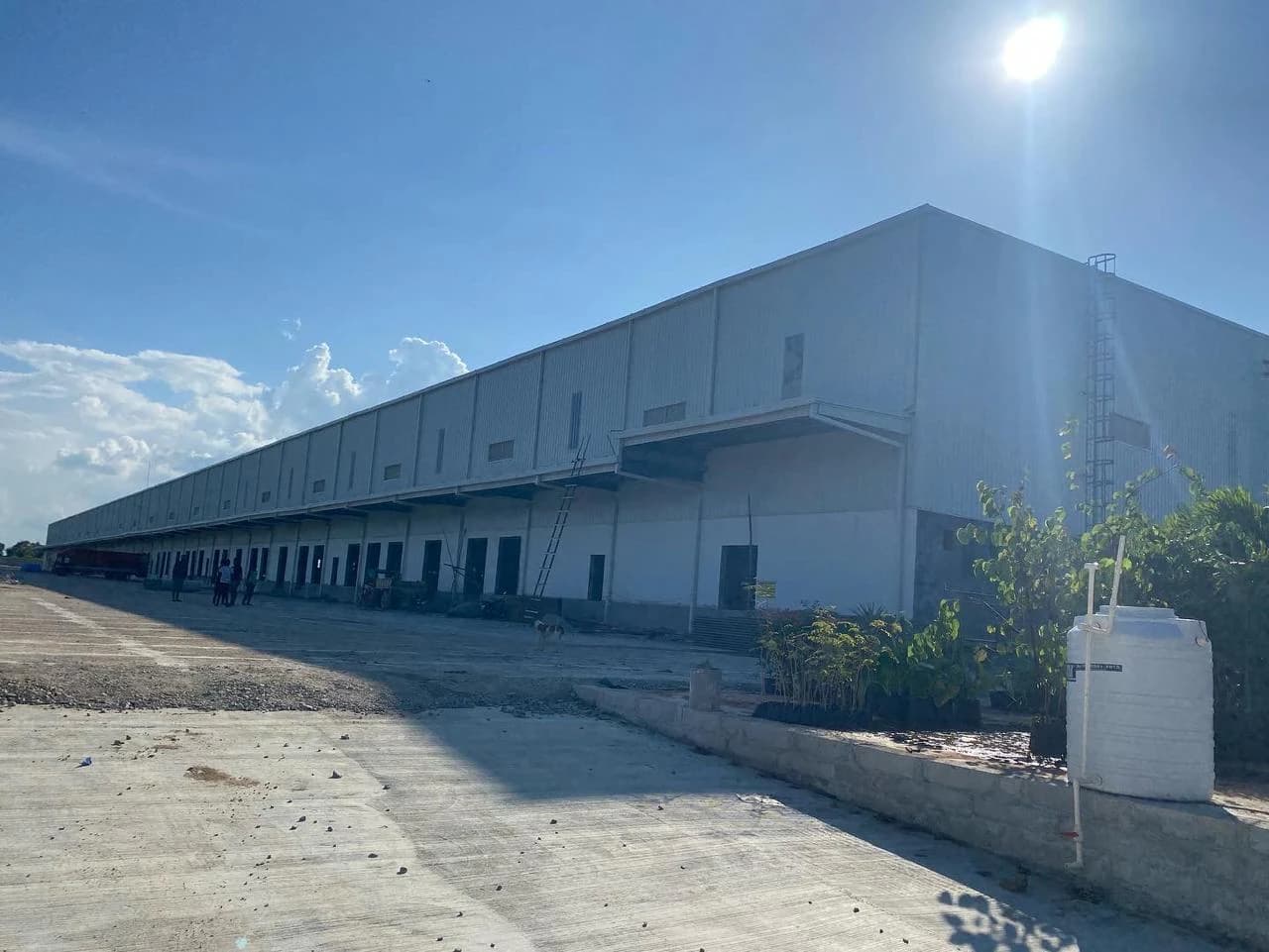 Curing line