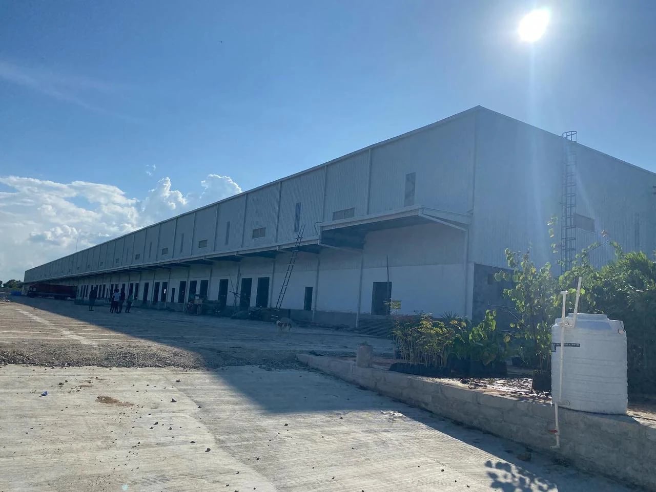 Curing line